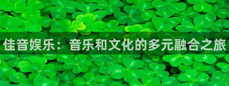 先锋娱乐公司：佳音娱乐：音乐和文化的多元融合之旅