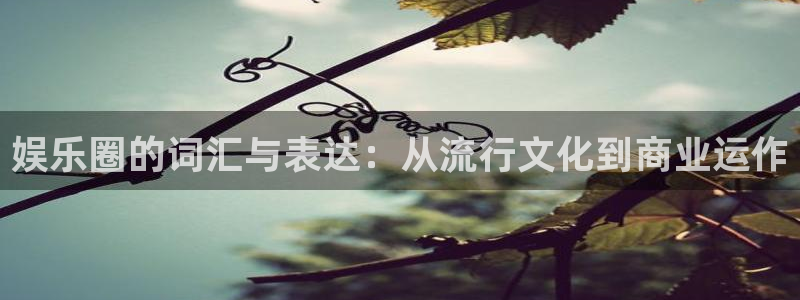 先锋娱乐公司：娱乐圈的词汇与表达：从流行文化到商业运作