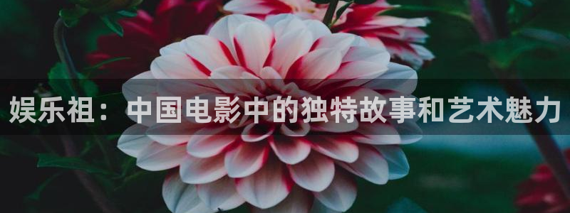 先锋娱乐公司：娱乐祖：中国电影中的独特故事和艺术魅力