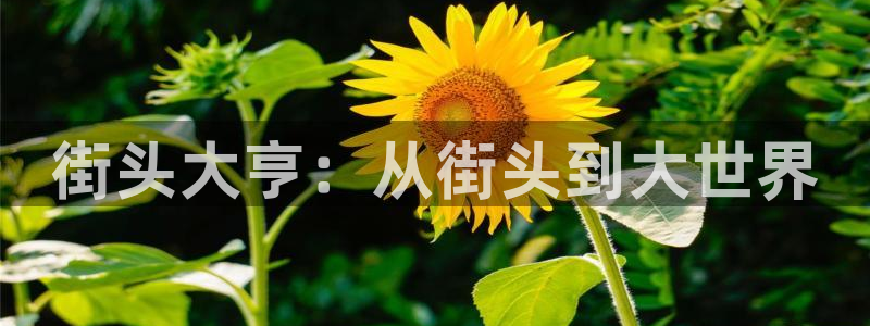 先锋娱乐：街头大亨：从街头到大世界