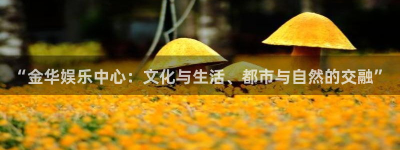 先锋娱乐：“金华娱乐中心：文化与生活、都市与自然的交融”
