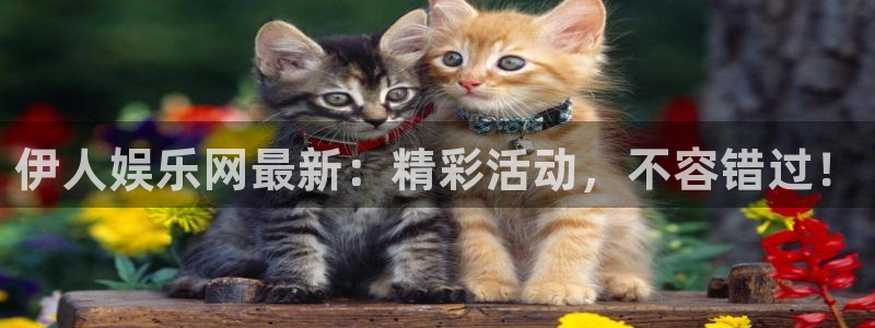 先锋娱乐平台：伊人娱乐网最新：精彩活动，不容错过！