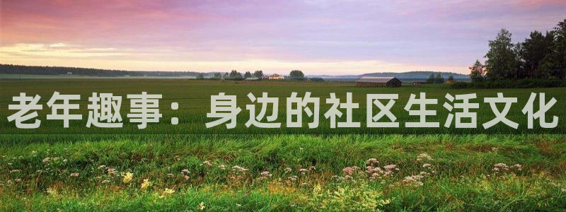 先锋娱乐公司：老年趣事：身边的社区生活文化