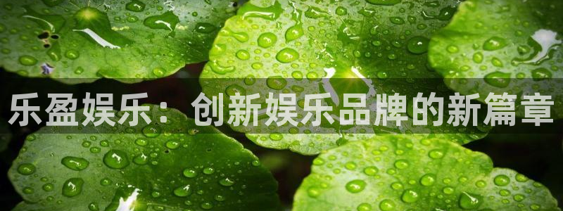 先锋娱乐平台：乐盈娱乐：创新娱乐品牌的新篇章