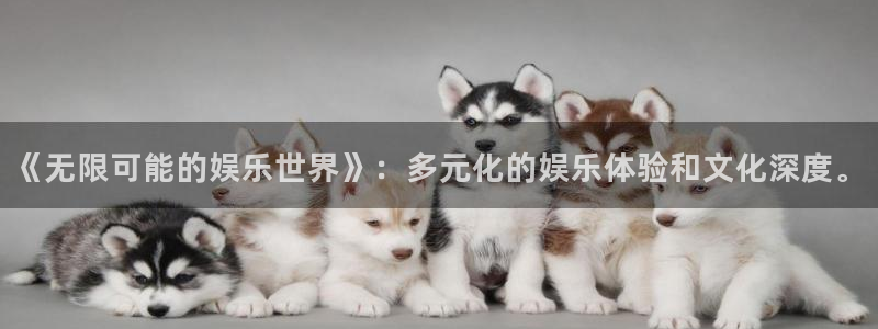 先锋娱乐平台：《无限可能的娱乐世界》：多元化的娱乐体验和文化深度。
